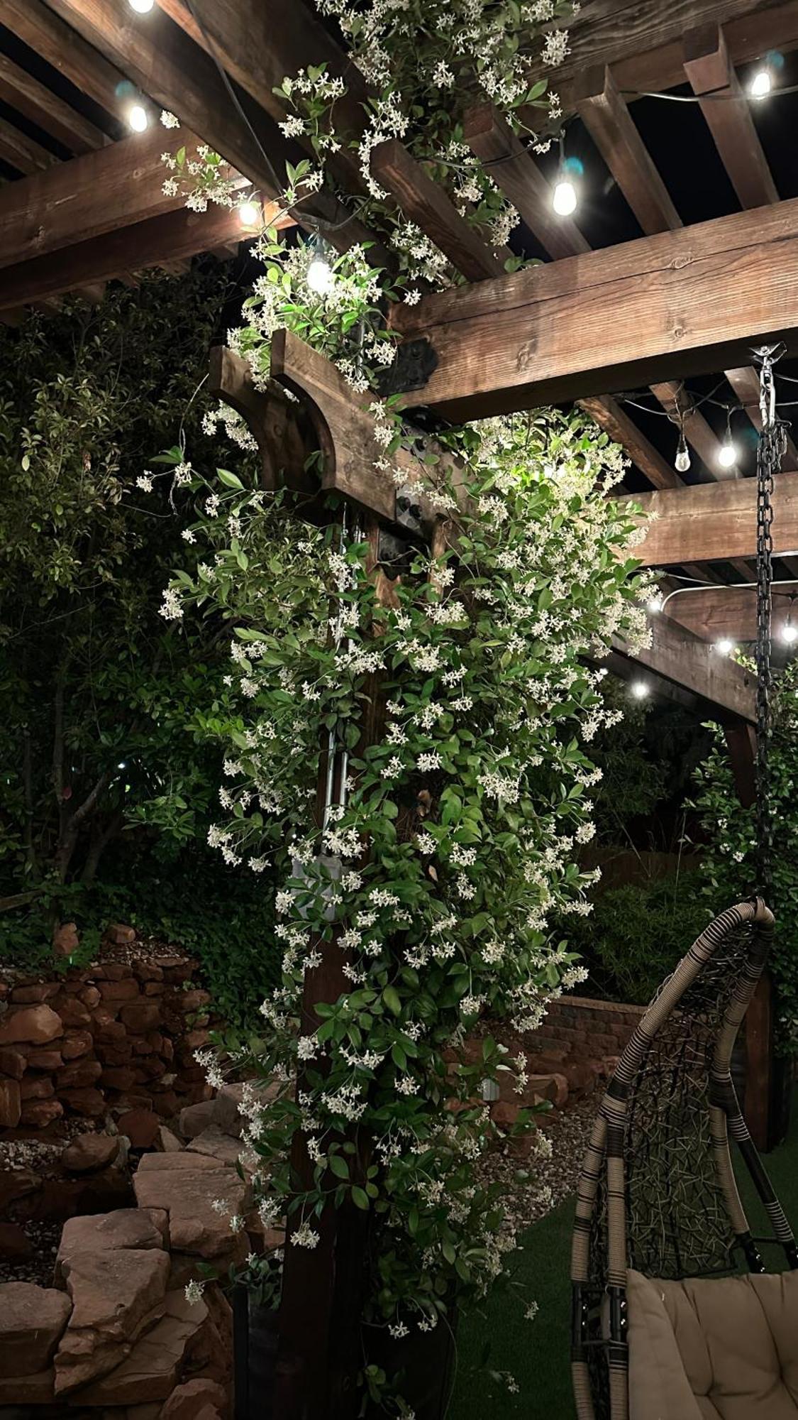 Lantern Light Inn - Romantic Getaway (Adults Only) Sedona Luaran gambar